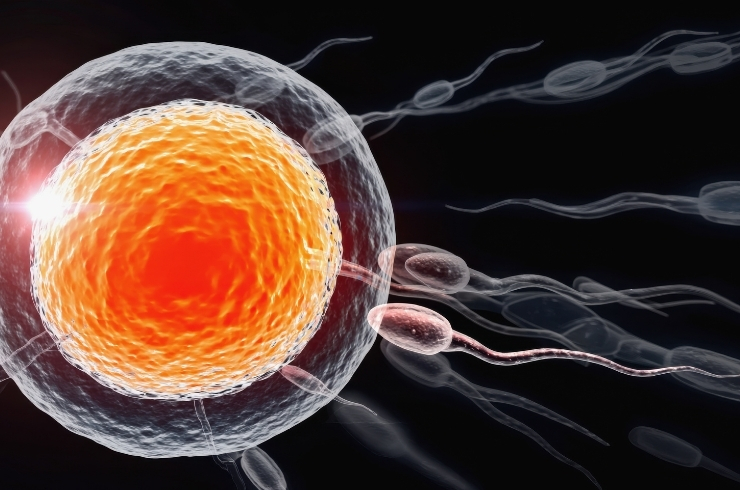 SB Allergy and Gynae Center