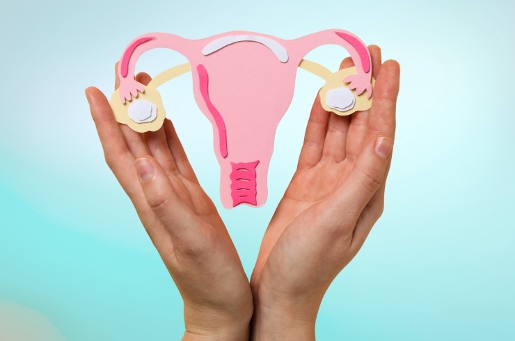 SB Allergy and Gynae Center