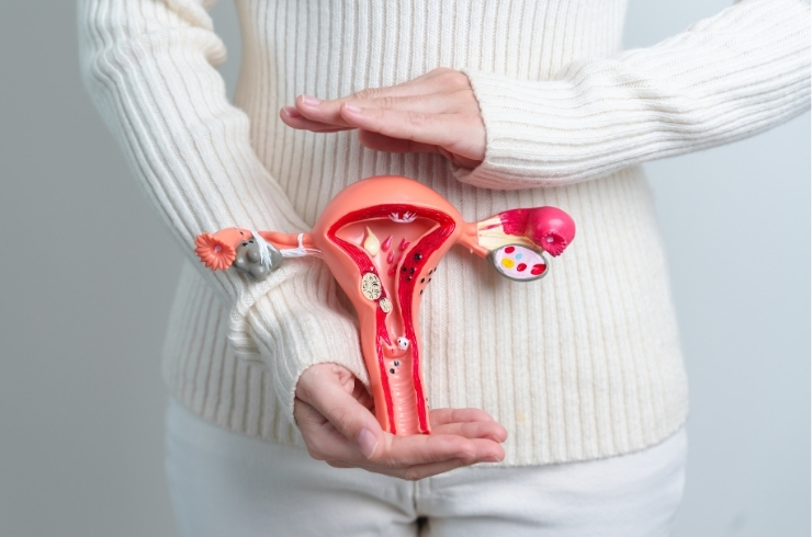 SB Allergy and Gynae Center